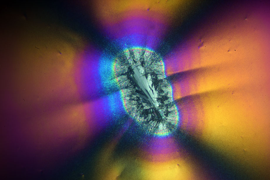 Ascorbic Acid crystals in crossed polarizers with Diaphot TMD and DIC condenser.